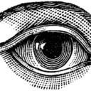 selfevolvingcircle avatar