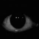 selfhatedcaffinated avatar