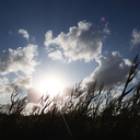 selfinflictedwar avatar