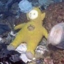 selfishferret avatar