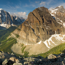 selftitlednow avatar