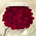 selincrkt-blog avatar