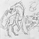 selkiereblogs avatar