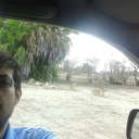 selous-safari avatar