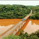 selva-misionera avatar