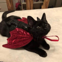 semicorporealgoth avatar