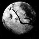 sempiternaldarkness avatar