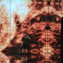 sempiternus-noctem avatar