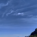 semprewithvoce avatar