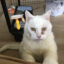 send-username-suggestions avatar