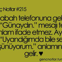 sendemigittin avatar