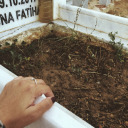 sendenvebenden avatar