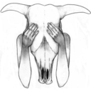 sendingicebergs avatar