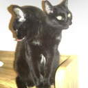 sendmeup2heaven avatar