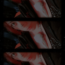 sendys-sanctuary avatar