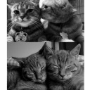 senindesonunmezar avatar