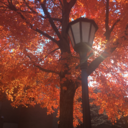 senioryearphotos avatar