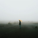 senjadikotatua avatar