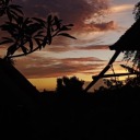 senjaitumilikku avatar