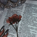 senkimsincsen avatar