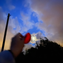 senkitsemerdeklem avatar