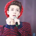 senshinedesign avatar