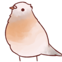 sensitive-pigeon avatar