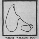 sensitiveplant avatar