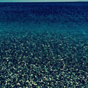 sensitivity-girl avatar