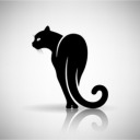 sensualkitten68 avatar