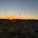 sensualsunrise2 avatar