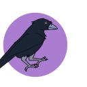 sentientraven avatar