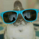 sentimentalarchive1993 avatar