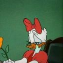 sentimentosvendidos avatar