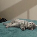 sentimientos-ocultos21 avatar