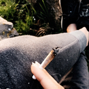 sentoutofhell avatar