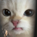 seokieats avatar