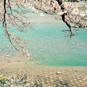 seoul-icious-blog avatar