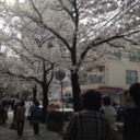 seoulfighters-blog avatar