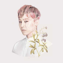 seoull-inspirations avatar