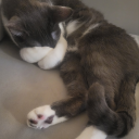 separate-dreams-from-reality avatar