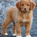 septemberbarnn avatar