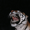 septemberpapi avatar