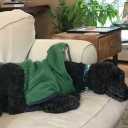 septemberstudies avatar