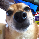 sequestered-spirit avatar