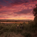 sequesterednooks avatar