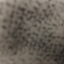 sequin-ceilings avatar