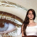 sequindolphin avatar