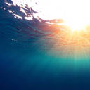 seraphic-majesty avatar