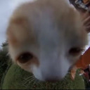 seratoninjunkie31 avatar